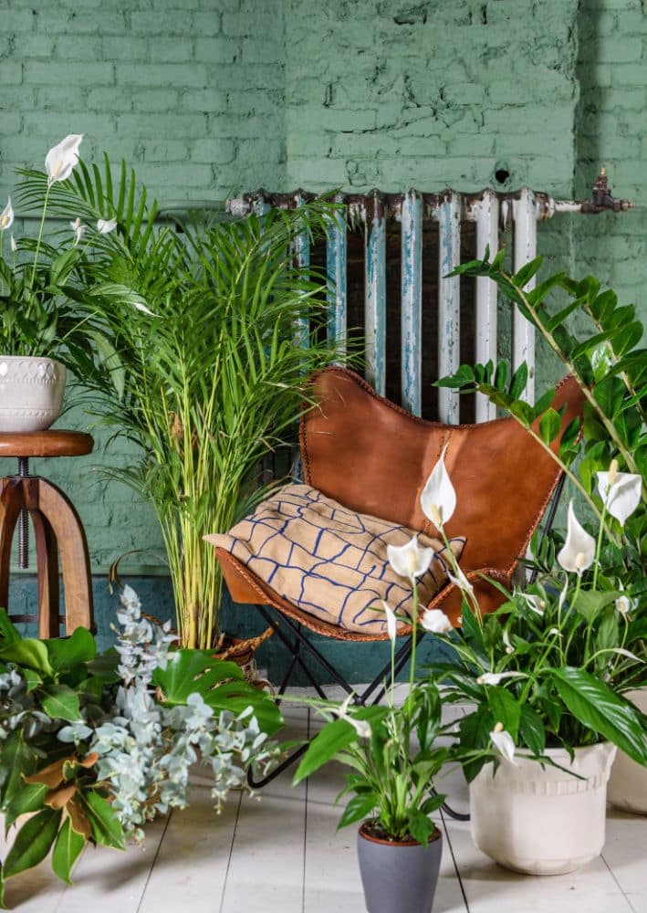 A brown leather chair with a cushion is surrounded by various potted plants in a room with a green brick wall and an old radiator.